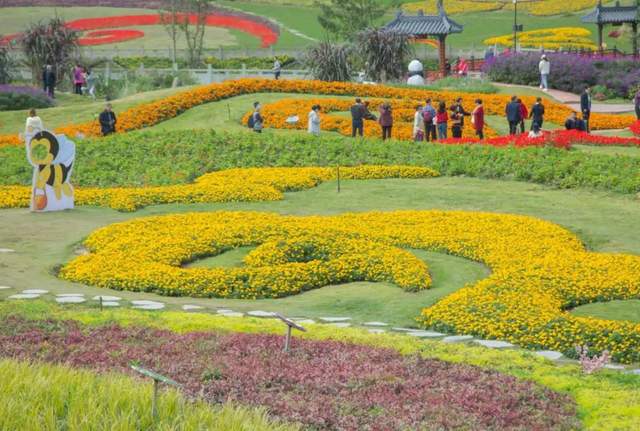 四川省民生研究会新媒体中心-官网