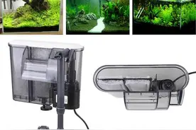 小鱼缸过滤器哪种最好，常见的过滤器是什么？主要有3种图片