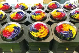 国产永生花或迎来发展新空间 |“特别的花给特别的你”专题图片