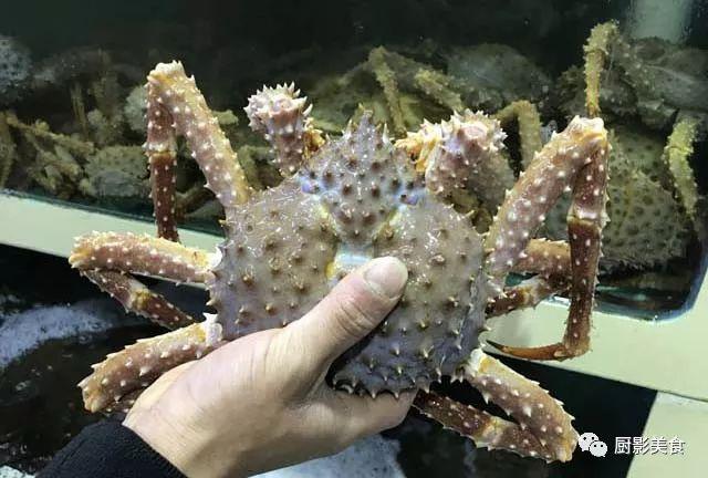 40头的花胶是几级 2025年花胶40头是什么意思?