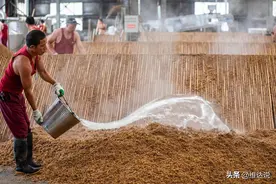 一斤粮食酒的成本不到十元，为何酒价差距很大，酿酒师告诉你答案图片