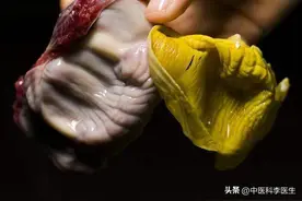 经常吃“鸡内金”有啥用？中医：或能缓解8个症状，别白白丢掉了图片