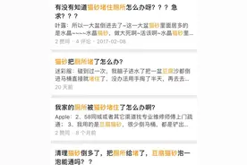 把膨润土猫砂冲进厕所的后果……说多了都是泪图片