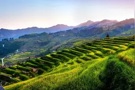 借款人支付的超过年利率36%部分的利息可以要求返还吗？图片