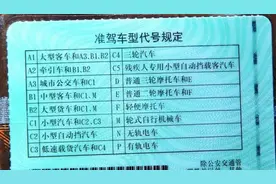 这四类驾照升级不用考科一、科四图片
