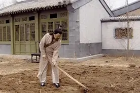 你了解“男怕八月，女怕腊月”是什么意思吗？图片