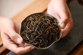 红茶 | 云南滇红 --- 大叶种独有的形美、色艳、香高、味浓图片