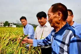 90年袁隆平小儿子高考填报农业专业，袁老：做这一行别想升官发财图片