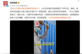 女子吐槽小猫叼回毒蛇咬伤家人：人已无大碍在住院观察图片