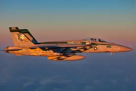 为什么大家普遍都不是很喜欢F/A-18？它真的很糟糕吗？图片