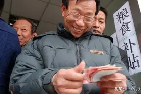 多地2022年“粮补”将下发，每亩补贴多少钱？5种情况取消资格图片