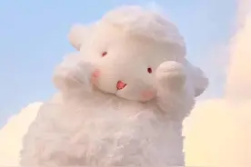 有关动物的歇后语图片