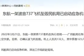 云南飞往广州飞机失事能找出来原因吗？图片