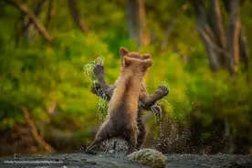 幽默笑话：教育孩子不能那么简单粗暴图片