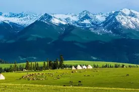 审核时间过长怎么办？用这个办法，也许秒过图片