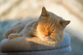 32个治愈系文案，不仅可以平复心情，还能分享到朋友圈图片