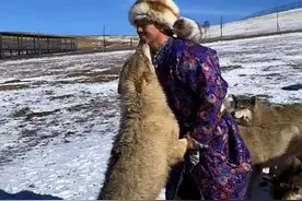 牧民意外救下草原狼王，被一口咬伤鲜血直流，一年后狼群舍命报恩图片