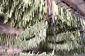 阳泉市平定县冠山镇后沟村 传统+现代 “龙筋之乡”有活力图片