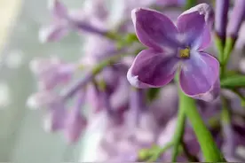 中年才懂，与兄弟姐妹保持距离，才是最好的“珍惜”图片
