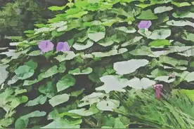 谷雨：6首诗词，雨落生百谷，万物皆可期图片