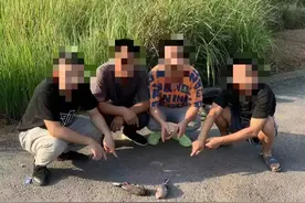 广安华蓥4名男子打斑鸠被抓！图片