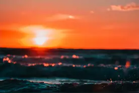 四大名著，揭示职场成功的真相！图片