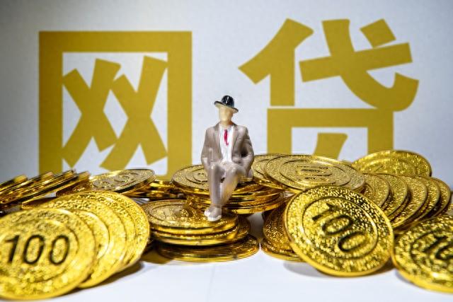 网上投资的平台逾期怎么办，网贷平台被国家查封还不了逾期怎么办 配图05