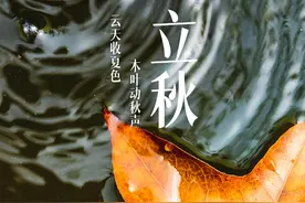 节气民俗 | 立秋：云天收夏色，木叶动秋声图片