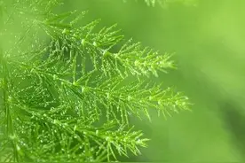 老实人记住三句话:以后没人会再欺负你图片