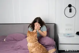 宠物过敏越来越多，谁需要打“猫毛狗毛脱敏制剂”？图片