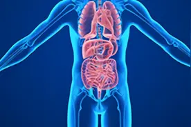 人体有6个器官能“拿掉”，完全不影响正常生活，到底是真是假？图片