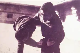 陈氏太极拳新架与老架的几个说法图片