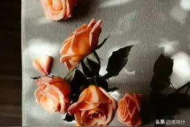 2021年爆火的50首歌，哪首是你的单曲循环？图片