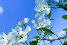 女人、爱你爱到“入心入骨时”，会对你说以下这些话，错不了图片