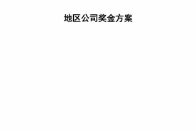 中海地产地区公司奖金方案(19)页图片