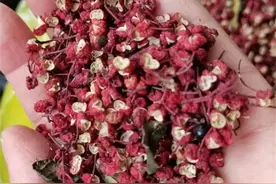 保存花椒直接冻大错特错，教你最正确方法，放一年不变色还有麻味图片