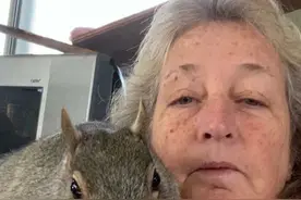 虚弱小松鼠被美国老奶奶捡回家各种宠溺，真成了奶奶带大的胖仔图片