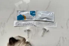 新冠抗原试剂如何自己在家检测？结果怎么看？图片