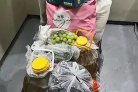 母亲坐大巴带500斤食物看望儿女，网友直呼：这爱太沉重图片
