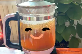 读医书笔记——陈世铎《人不穷理，不可以学医》图片