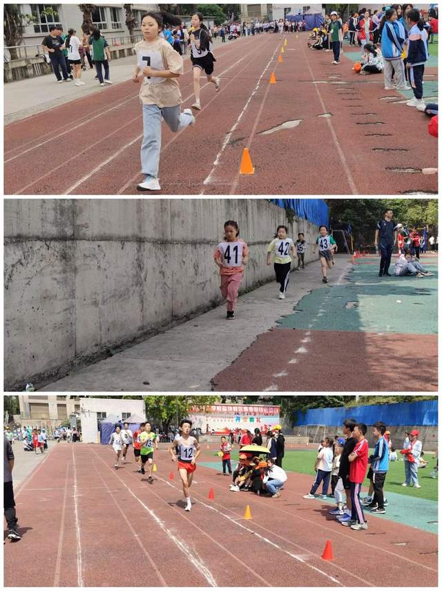 四川省民生研究会新媒体中心-官网