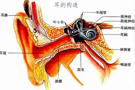 前庭功能障碍的康复训练图片