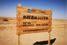 马云斥巨资在沙漠里种树，承诺每年1亿棵，六年过去了，树怎样了图片