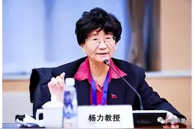 杨力教授：玄奘赋图片