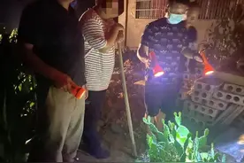 母亲被父亲掐死埋在院子里，儿子不怪爸爸，却出200万求舅舅谅解图片