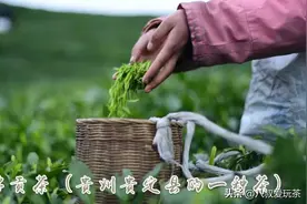 中国名茶地图 | 贵州名茶盘点图片