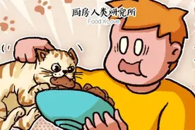 千万不要当着猫的面吃饭，它们啥事都干得出来图片