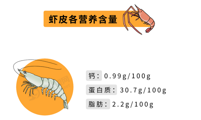鱼皮胶原蛋白和牛皮胶原蛋白 2026年鱼皮胶原蛋白和牛皮胶原蛋白的区别