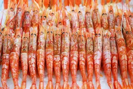 哪些海鲜离日本比较远？这6种影响还不大，冰箱里囤一些，放心吃图片