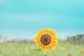 我是一个很卷的人，无力吐槽图片